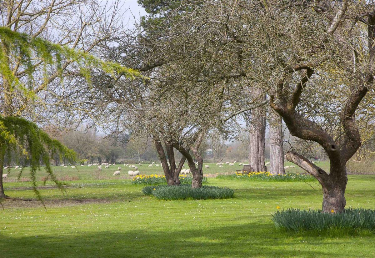 The Close, Salisbury