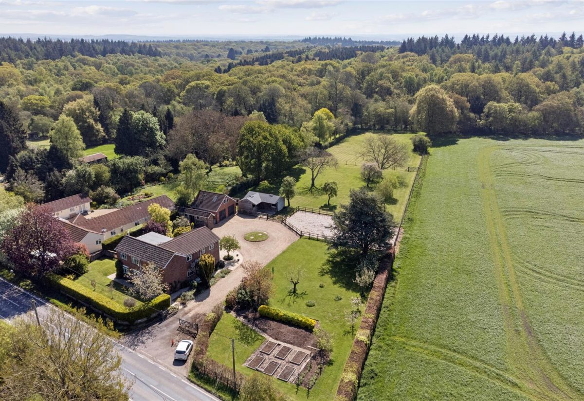 Andover Down, Andover