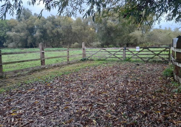 Watery Lane, Upper Clatford